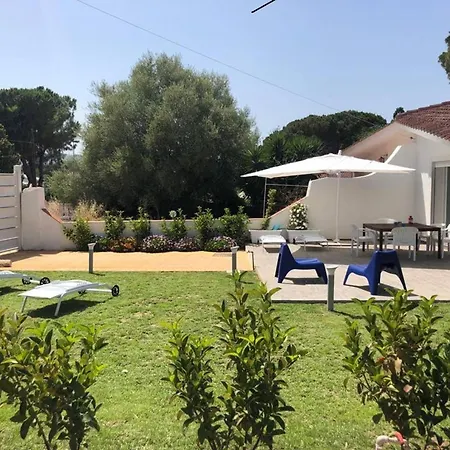 Polimia In Full Relaxation